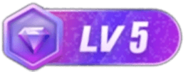 LV5 等级-LV5-玩赚库